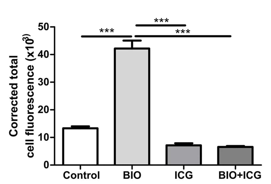 Open access visualization of Bar Plot, Error Bars, CD44 Expression, GSK-3 Inhibitor BIO, ICG001