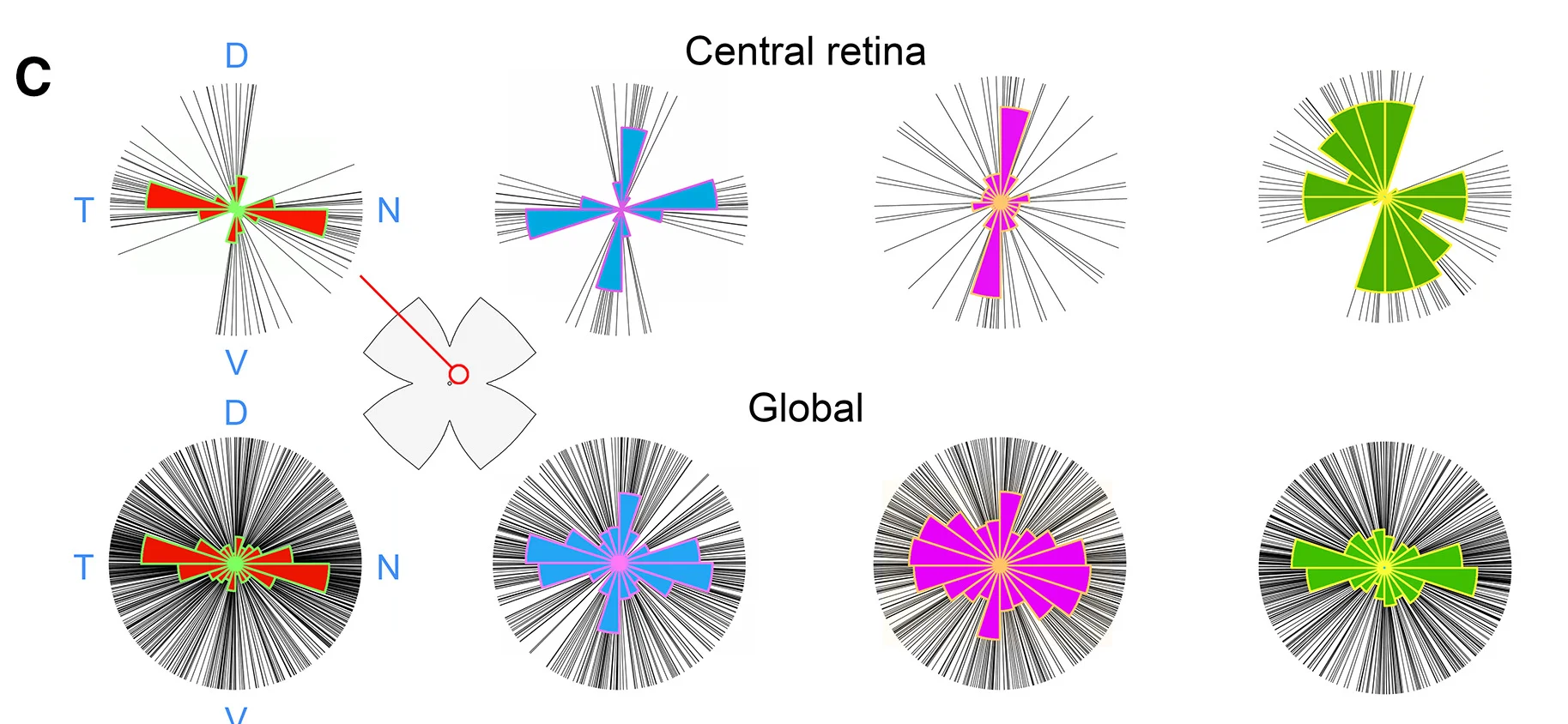 Open access visualization of Radar Chart, OS Preference, OSGCs, Retina, Polar Histograms
