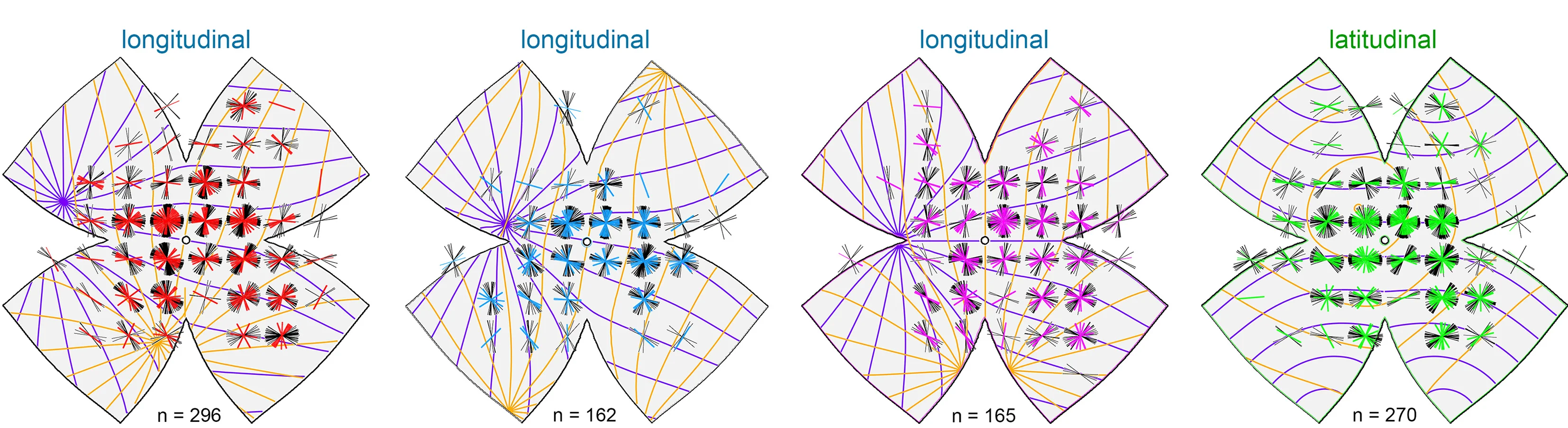 Open access visualization of Scatter Plot, Retina, OS Preference, Polar Plots, Longitudinal Geometry