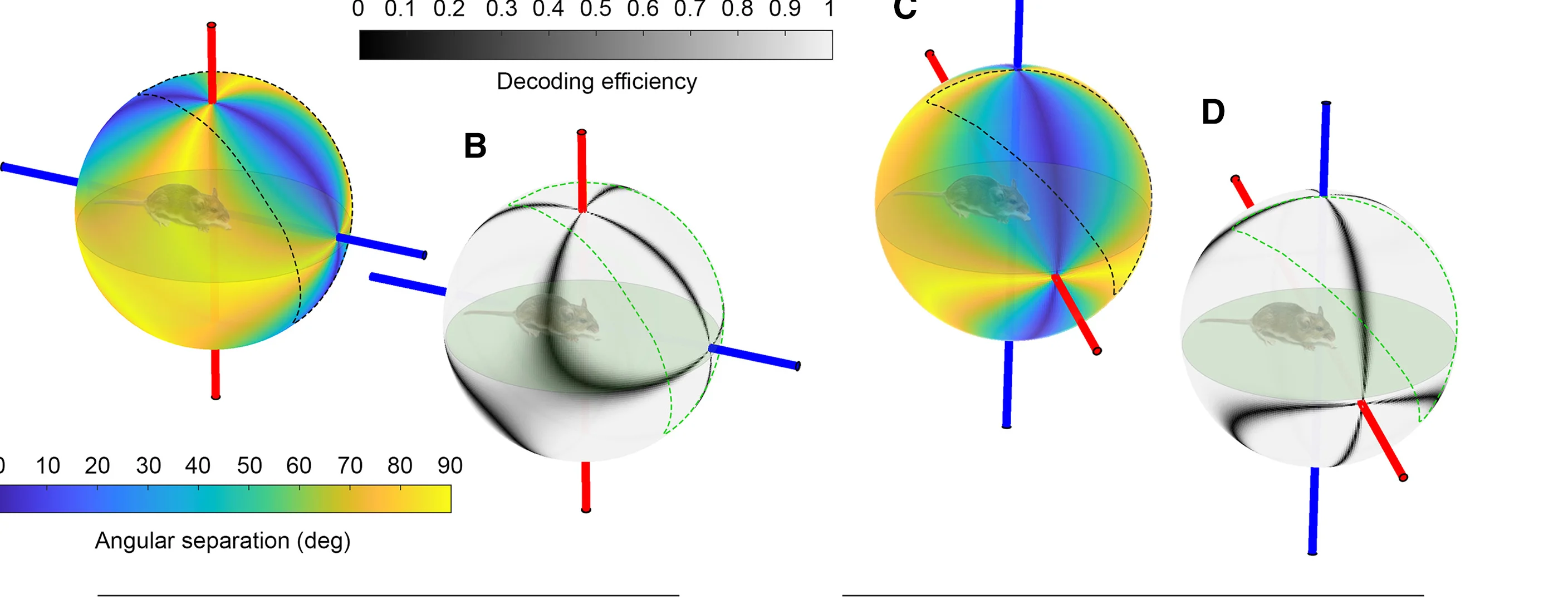 Open access visualization of 3D Plot, Angular Separation, LongH/V Cells, LatH/V Cells, Right Eye