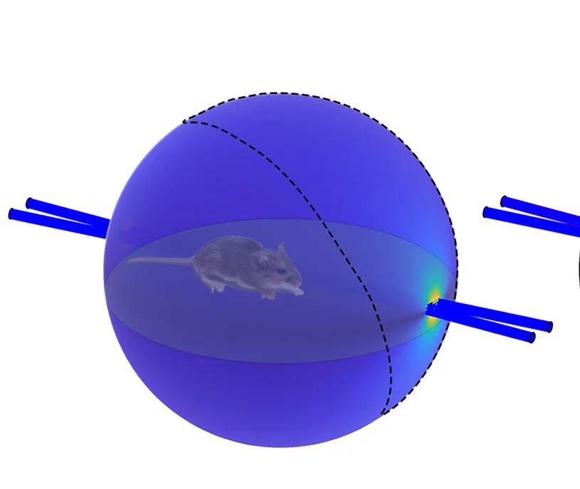 Open access visualization of 3D Plot, Angular Separation, LongH Cells, Right Eye, Left Eye