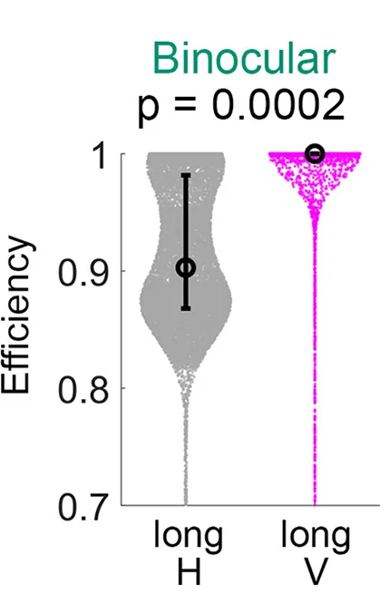 Open access visualization of Violin Plot, Error Bars, Binocular Zone, Decoding Efficiency, LongV Cells