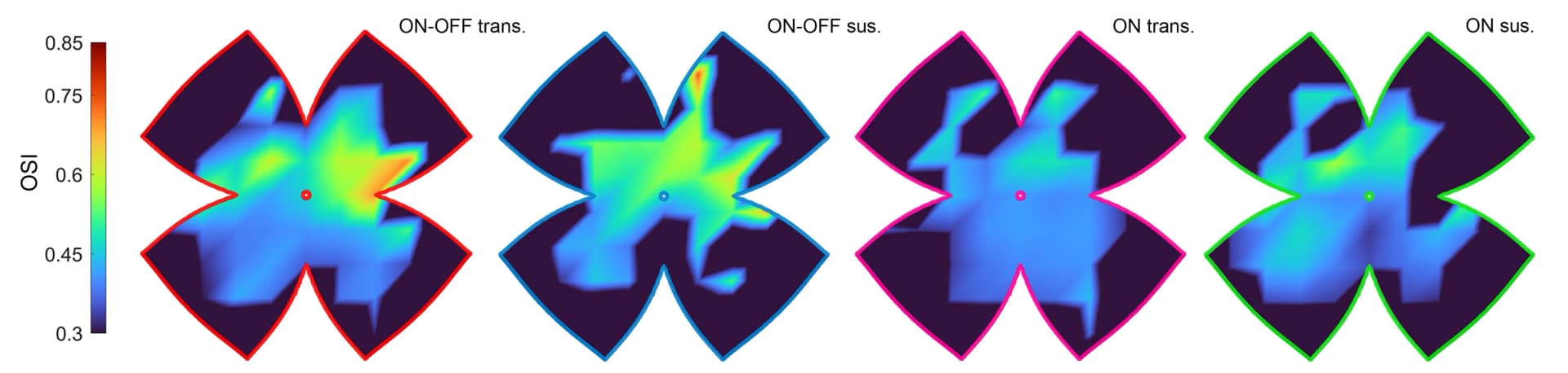 Open access visualization of Heatmap, OSI, Retina, OSGC Type