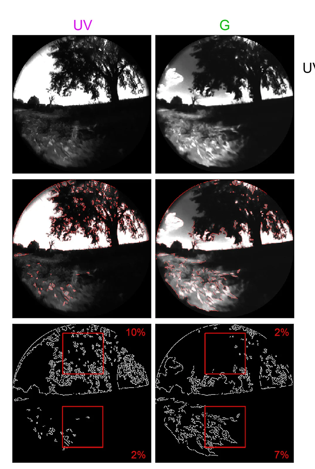 Open access visualization of Photo, Mouse Habitat, Video Frame, UV Channel, Green Channel