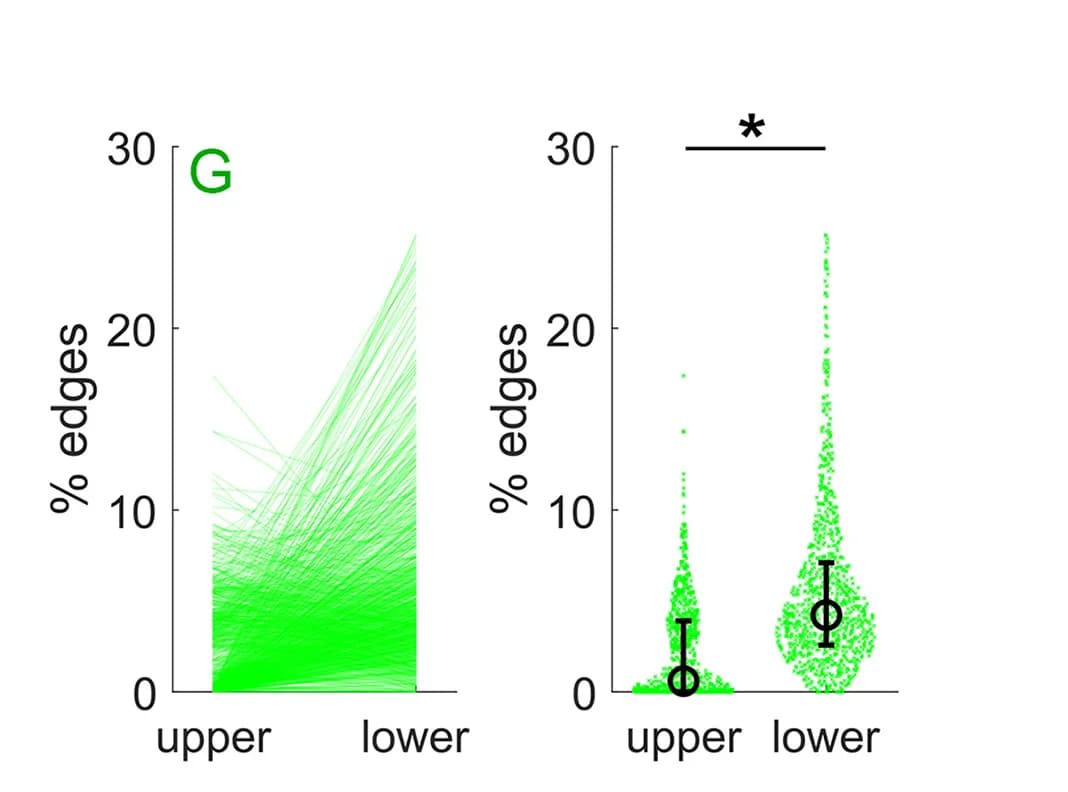 Open access visualization of Line Plot, Violin Plot, Scatter Plot, Error Bars, Edge Incidence