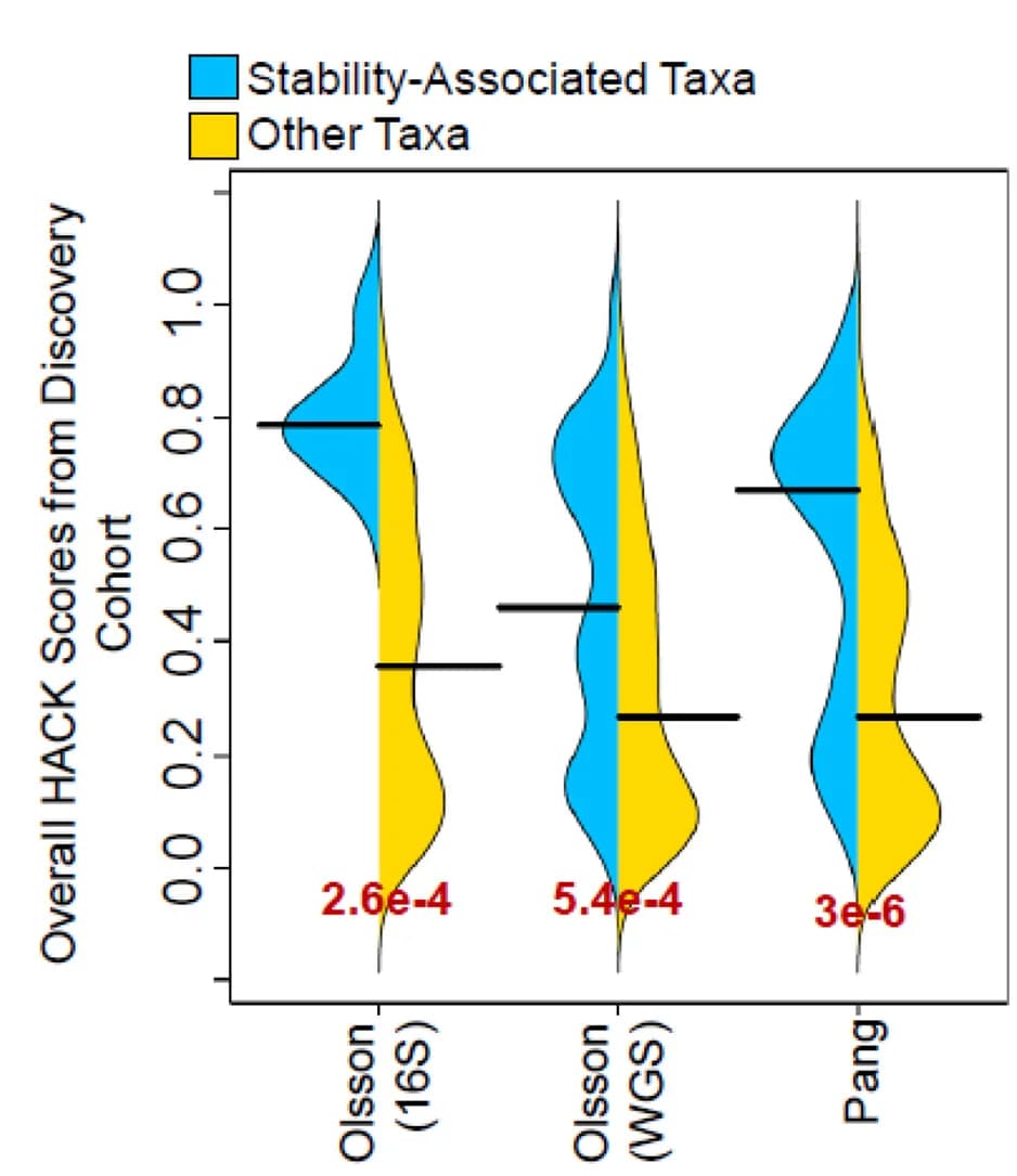 Open access visualization of Violin Plot, Bean Plots, Stability Association Scores, HACK Indices, Stability-Associated Taxa