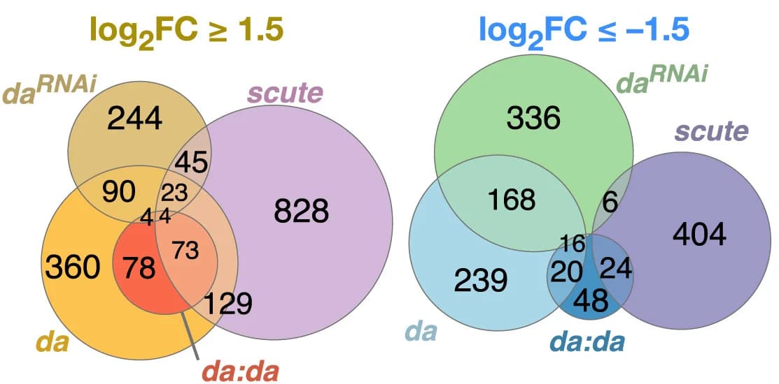 Open access visualization of Venn Diagram, Euler Diagram, Gene Sets, Differential Expression, RNAi