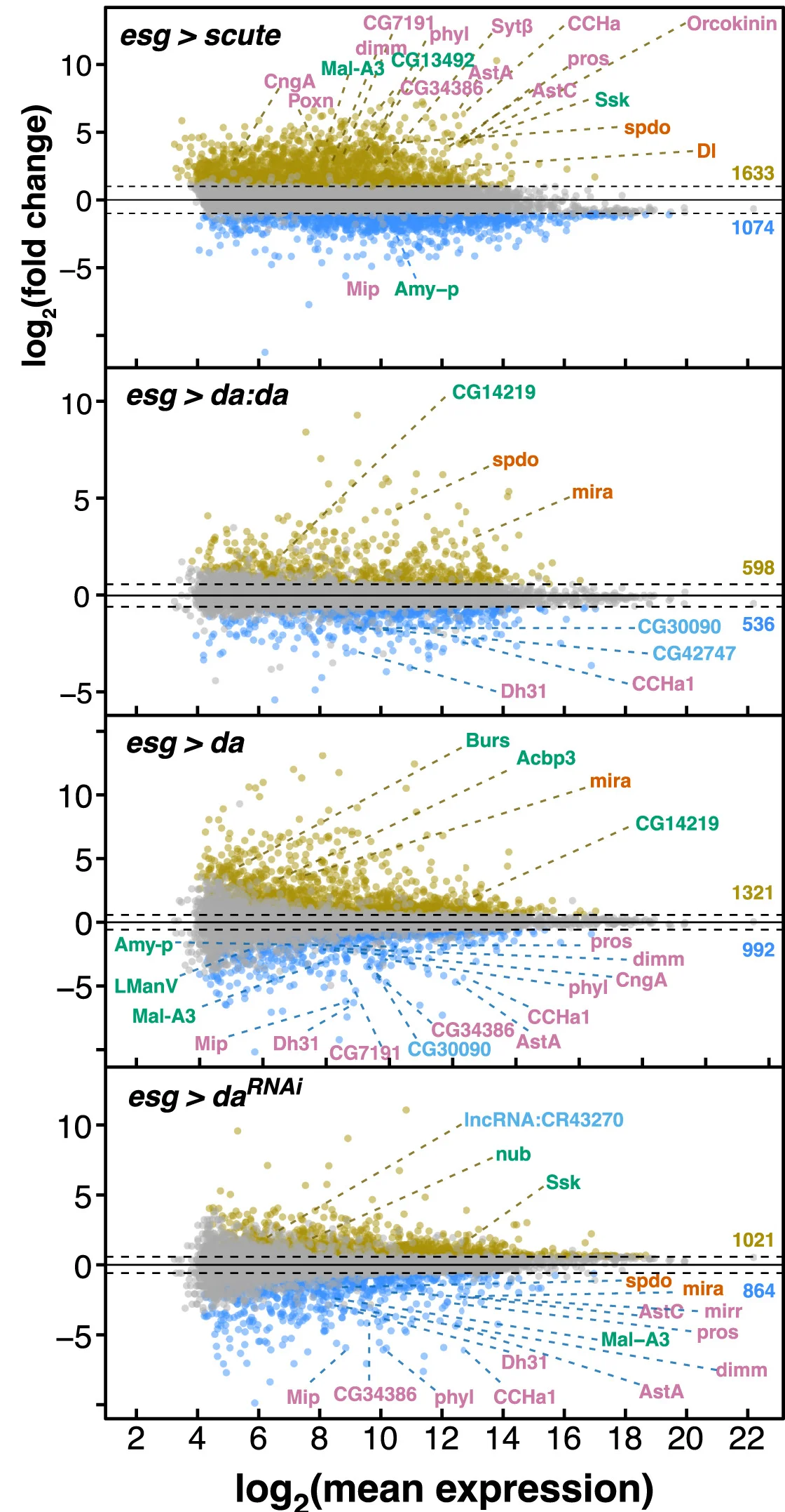 Open access visualization of Scatter Plot, Volcano Plot, MA Plots, Cell Type Markers, Gene Expression