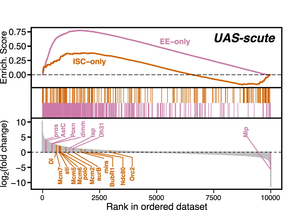 Open access visualization of Line Plot, Bar Plot, Enrichment Plots, Transcriptional Profiles, ISC