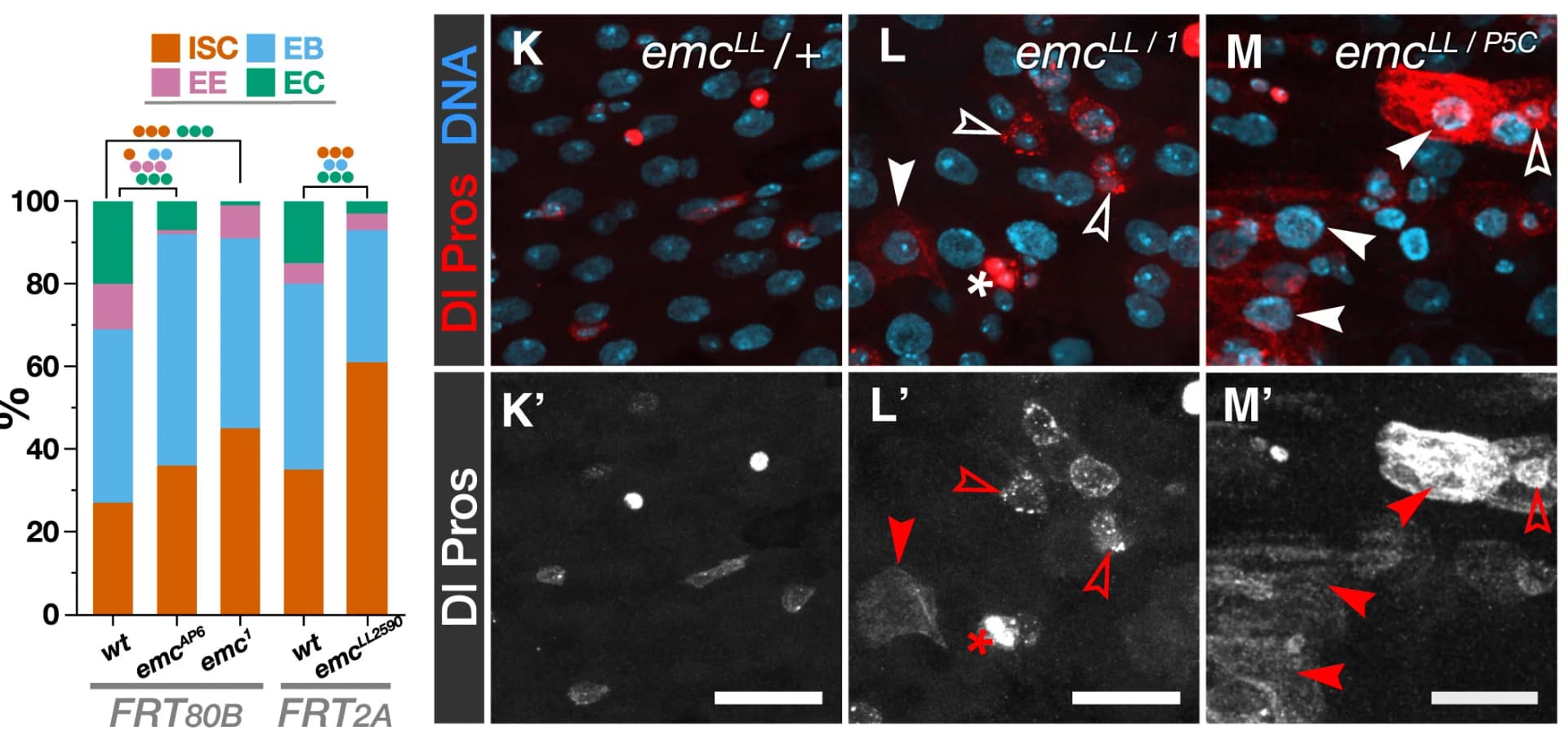 Open access visualization of Stacked Bar Plot, Microscopy, Cell Composition, Clones