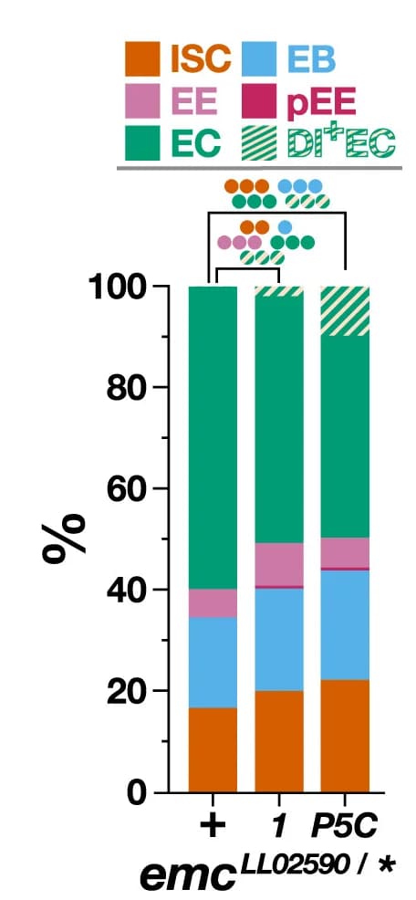 Open access visualization of Stacked Bar Plot, Cell Composition, Genotypes