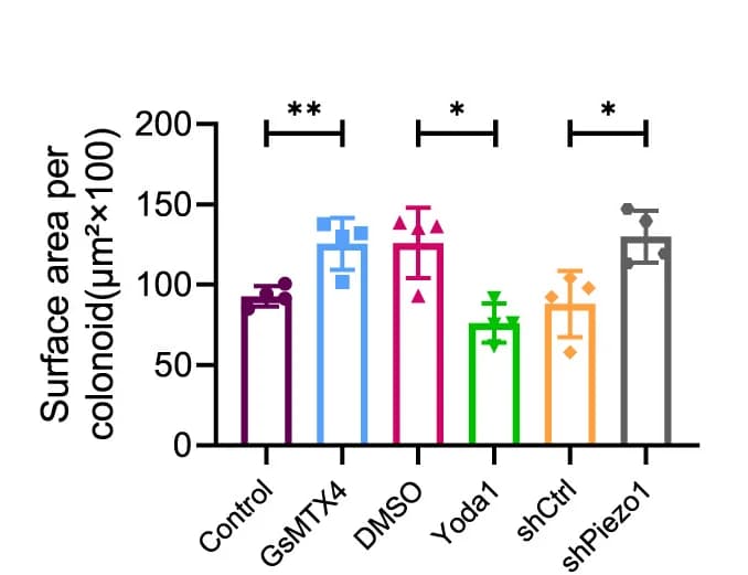 Open access visualization of Bar Plot, Error Bars, Colon Stem Cell Growth, Surface Area