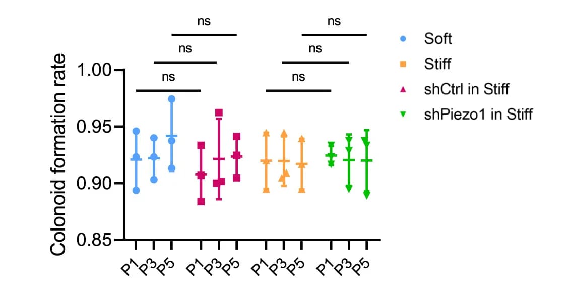 Open access visualization of Scatter Plot, Error Bars, Statistical Analysis, Colonoid Formation Rate, Passage