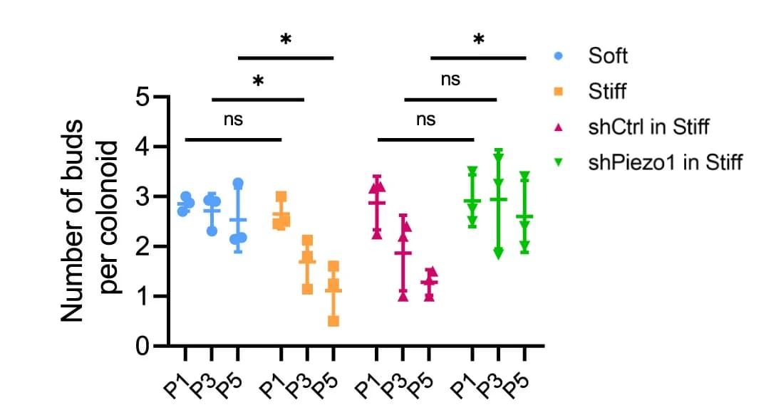 Open access visualization of Scatter Plot, Error Bars, Statistical Analysis, Colonoid Expansion, Average Number of Buds