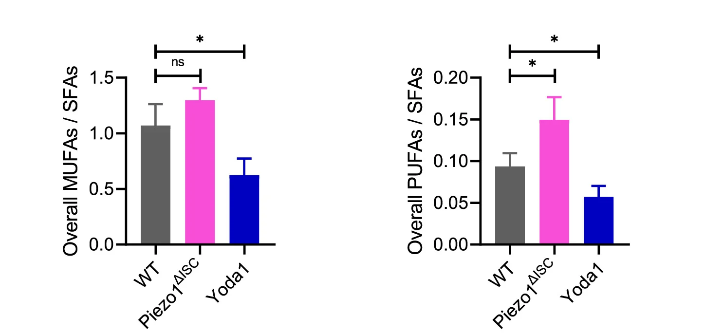 Open access visualization of Bar Plot, Error Bars, Ratio, MUFAs, PUFAs