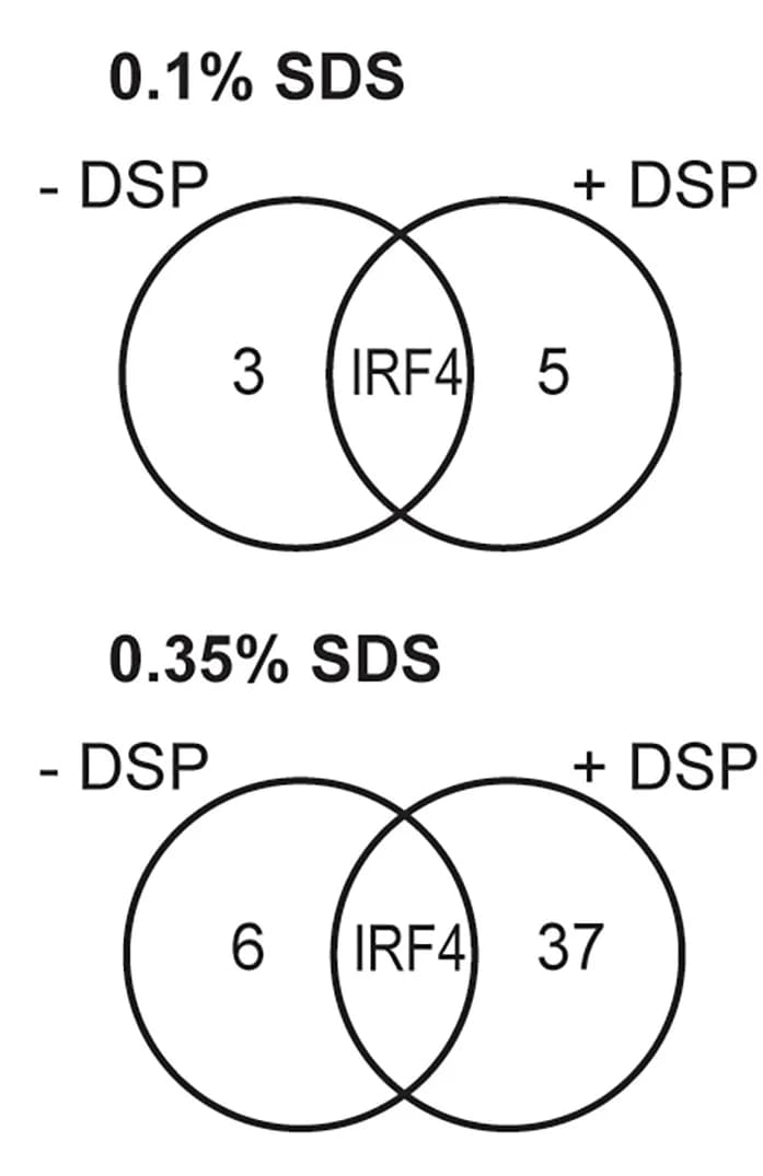 Open access visualization of Venn Diagram, Chemical Cross-Linking, IRF4, Pull-Down Experiments, Venn Diagrams