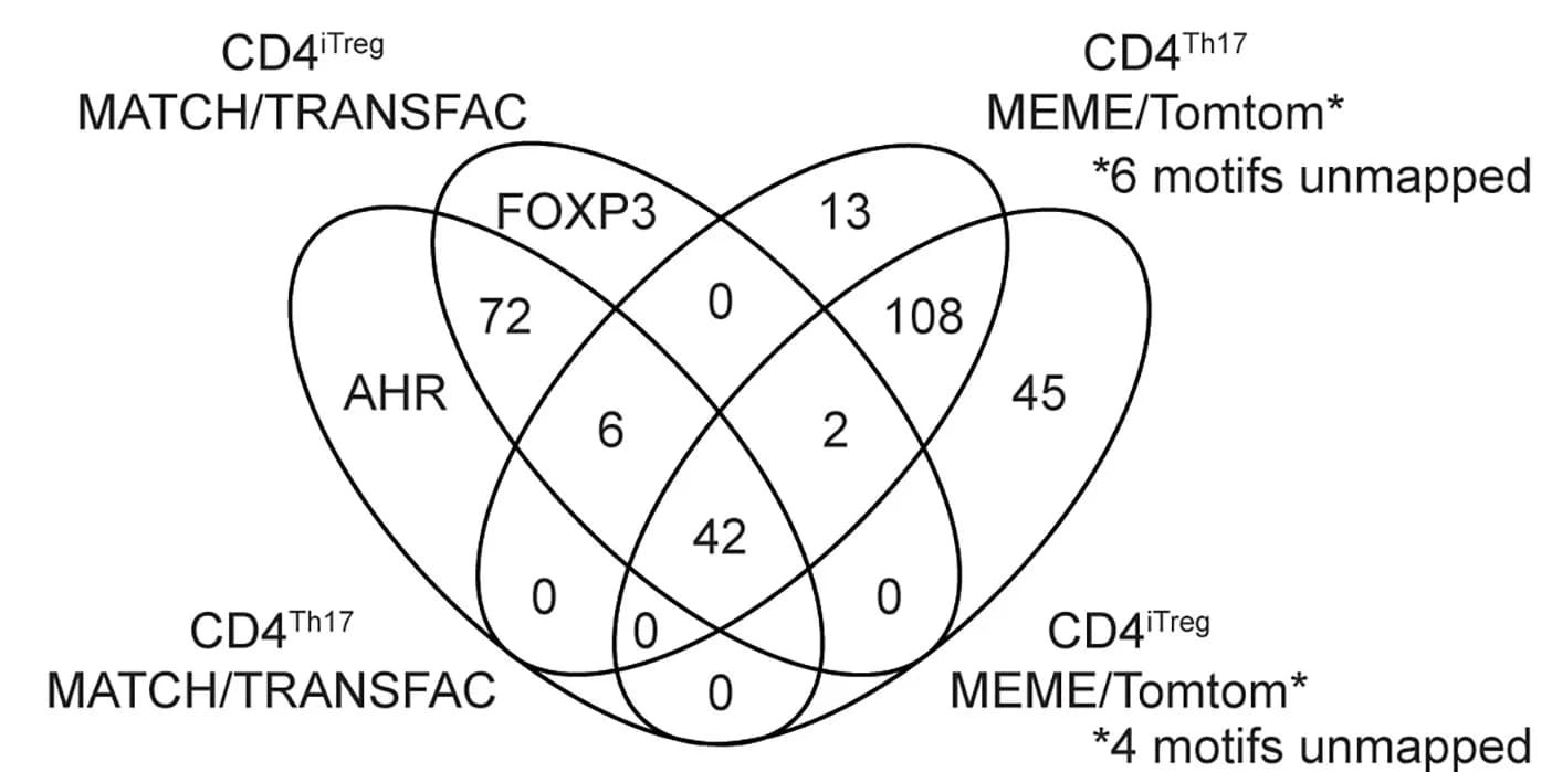 Open access visualization of Venn Diagram, Motifs, MATCH/TRANSFAC, MEME/Tomtom, CD4Th17 Cells