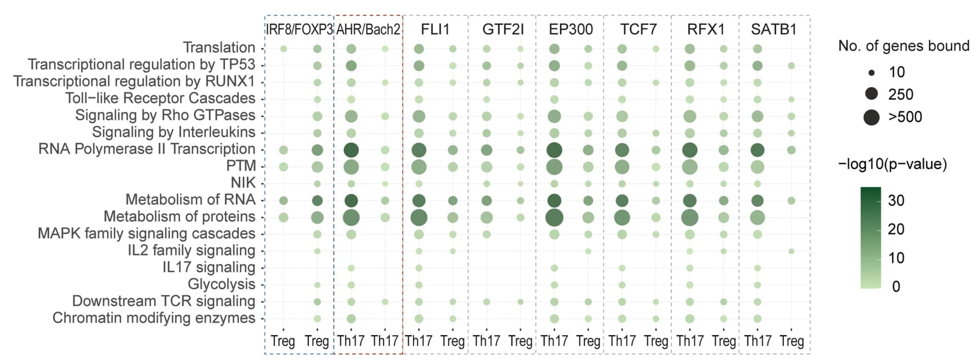 Open access visualization of Bubble Plot, Reactome Analysis, Genes, IRF4, Interactors