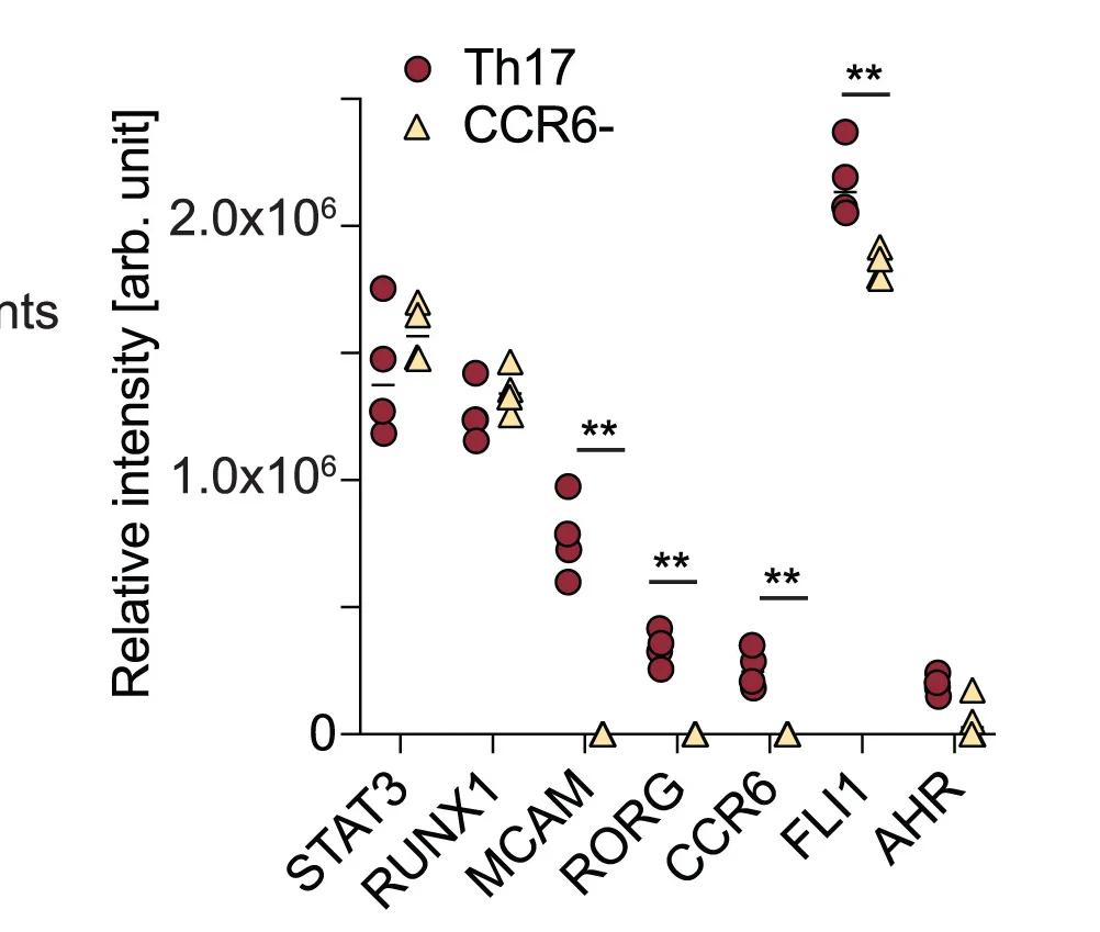 Open access visualization of Scatter Plot, LC-MS, LFQ Intensity, Cell-Type-Specific Proteins, Th17 Cells