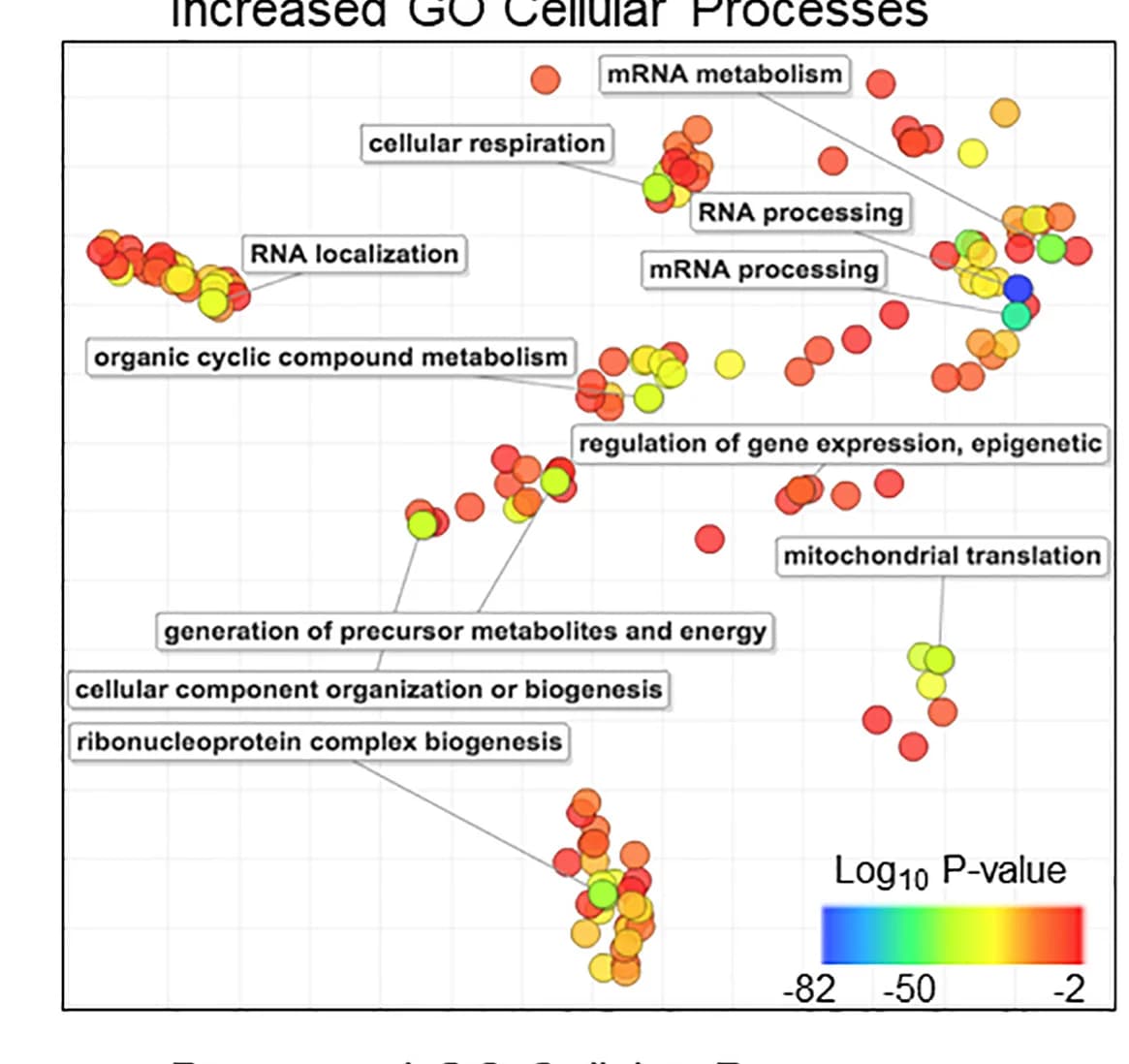 Open access visualization of Scatter Plot, Volcano Plot, Cellular Processes, GOTERMFINDER, Mapping