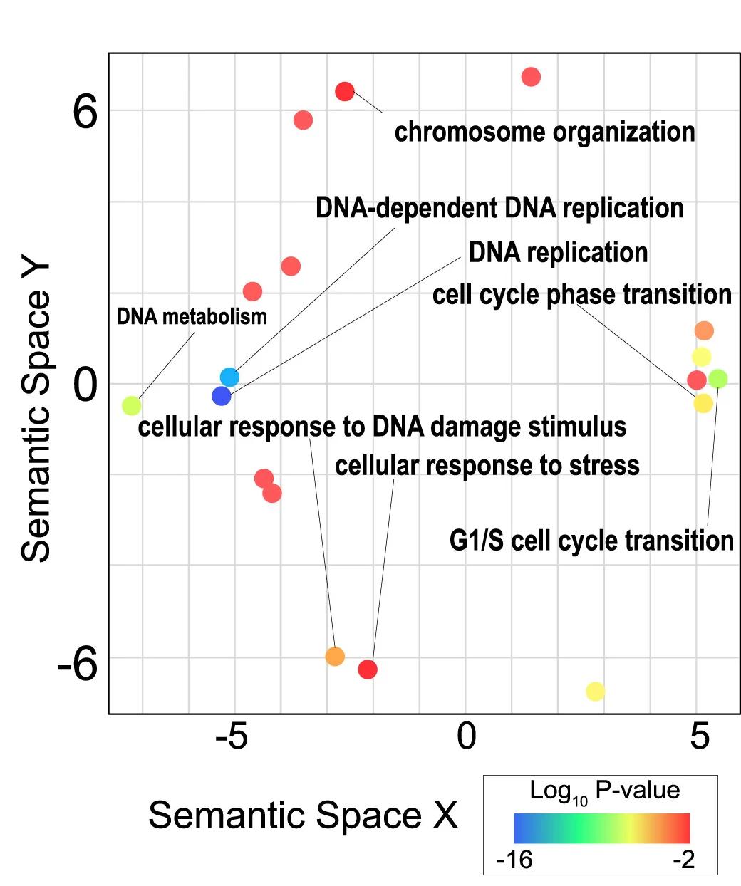 Open access visualization of Scatter Plot, Volcano Plot, REVIGO, Process Enrichment, Down-regulation
