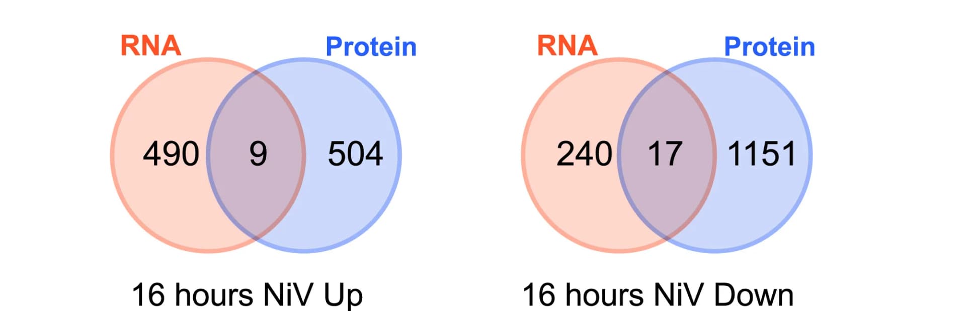Open access visualization of Venn Diagram, Transcriptomics, Proteomics, Venn Diagrams