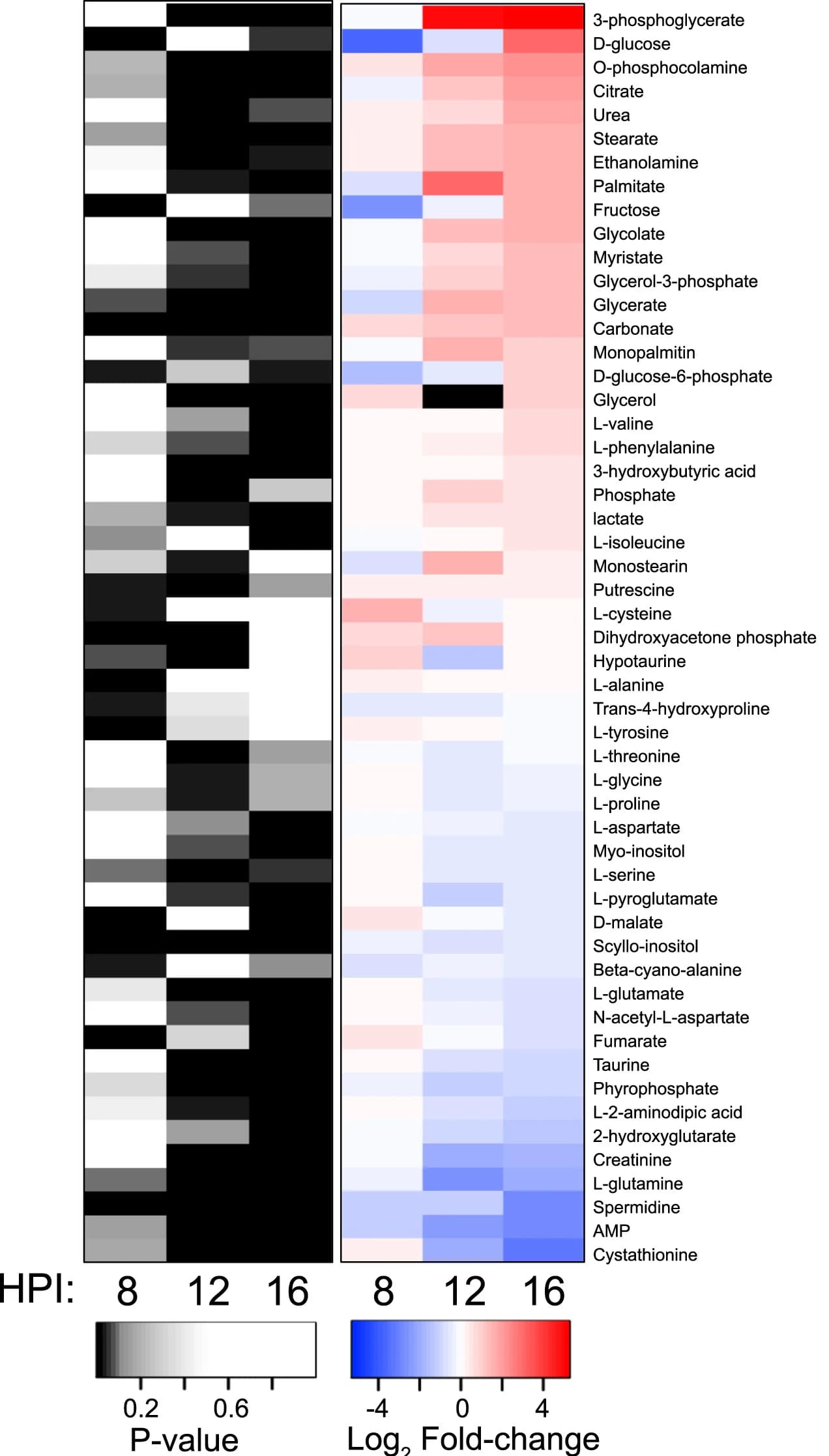 Open access visualization of Heatmap, Metabolites, Levels, Significantly Altered