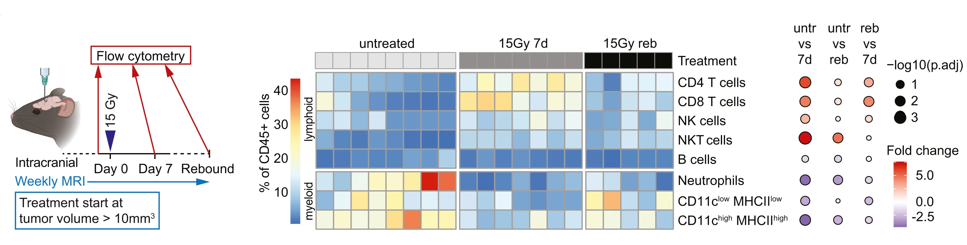 Open access visualization of Heatmap, Scatter Plot, Immune Cells, Brain Metastasis Tumors, Flow Cytometry
