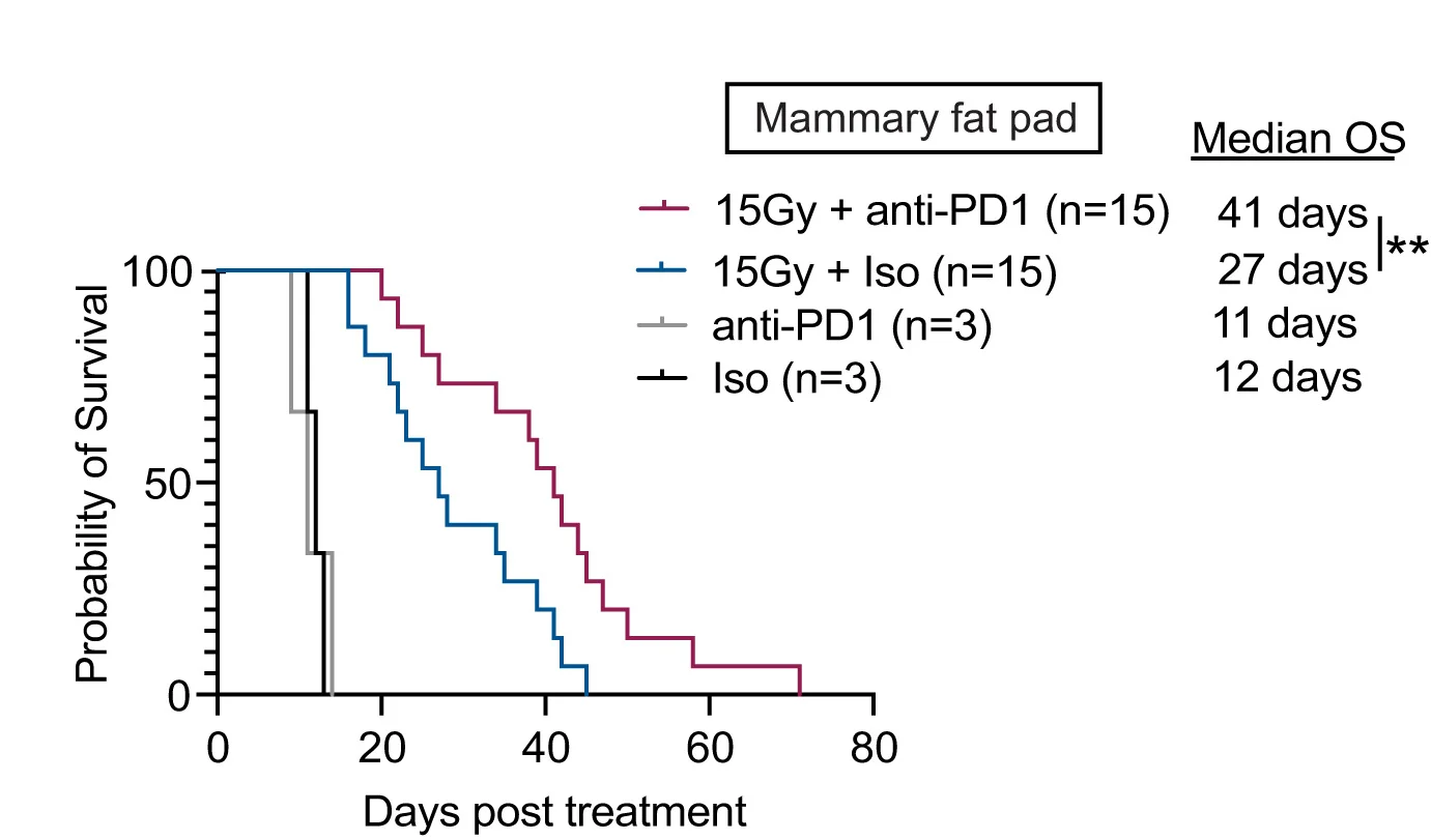 Open access visualization of Survival Curve, Line Step, Kaplan-Meier Survival Plot, Anti-PD1 Trial, MFP Tumor