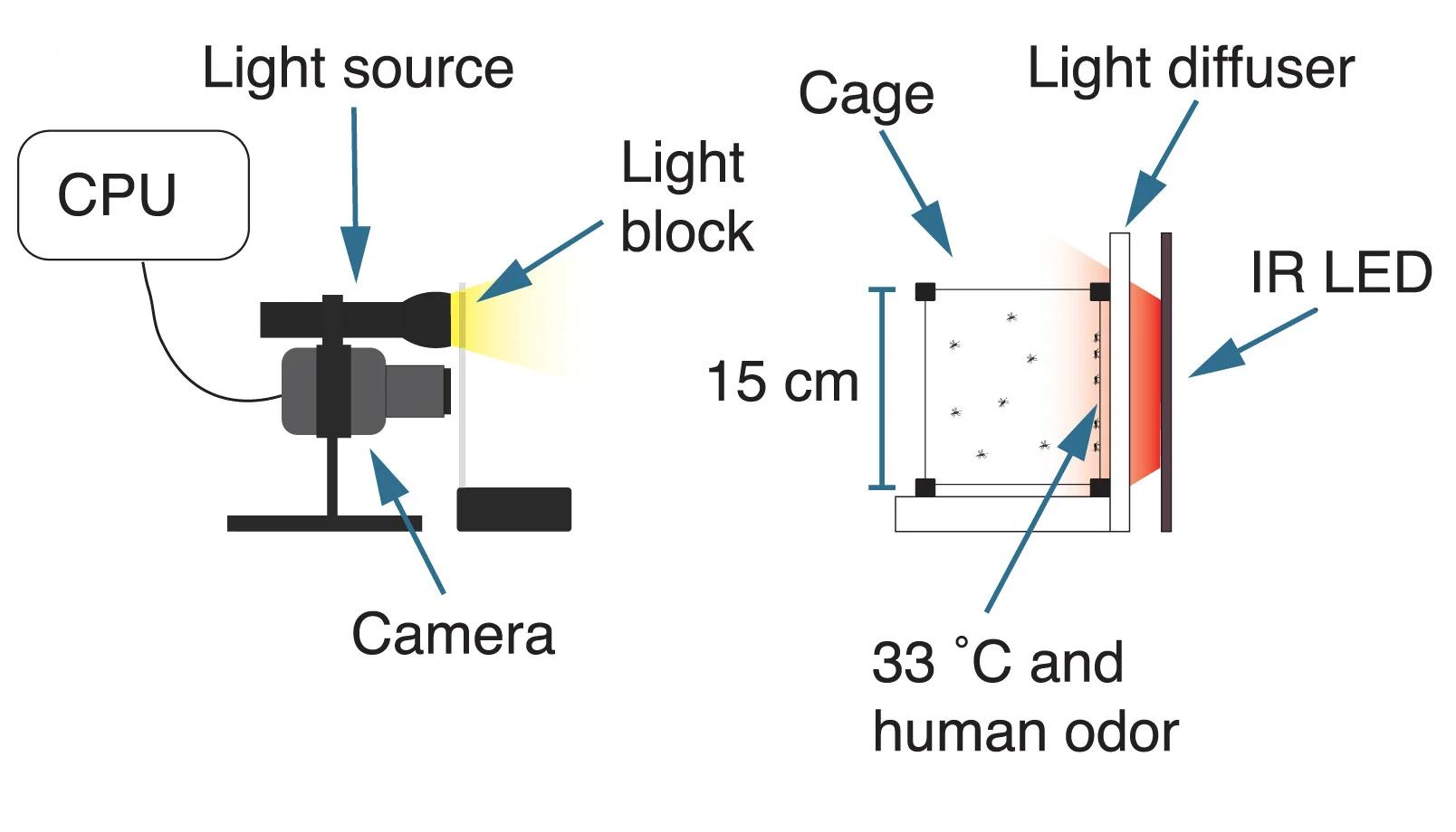 Open access visualization of Illustration, Mosquitoes, Webcam, IR Light, Cage