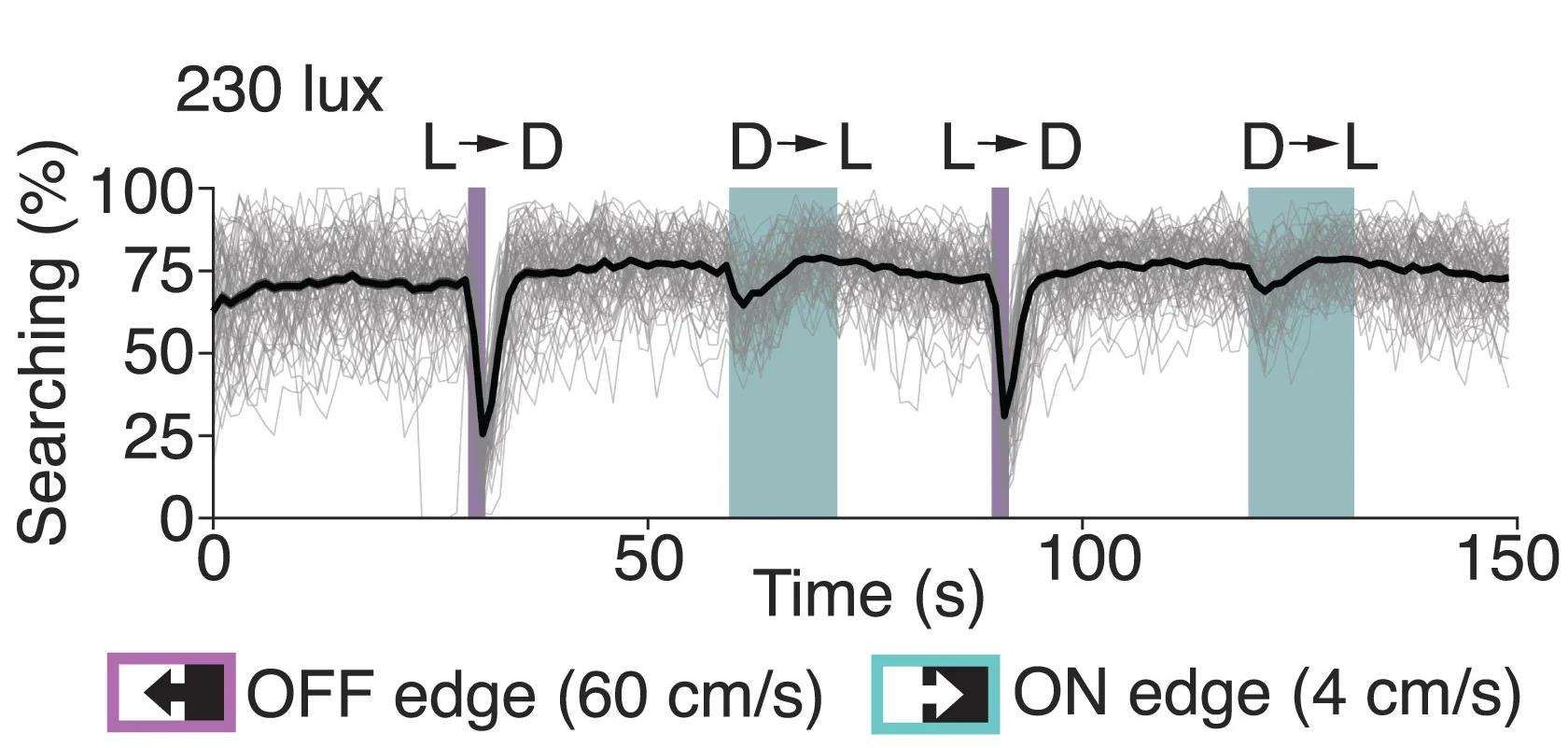 Open access visualization of Line Plot, Mosquitoes, Back Wall, 230 Lux