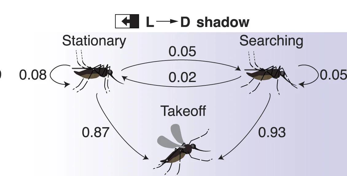 Open access visualization of Pathway, Workflow, Behavior, Transition Probabilities, Mosquitoes
