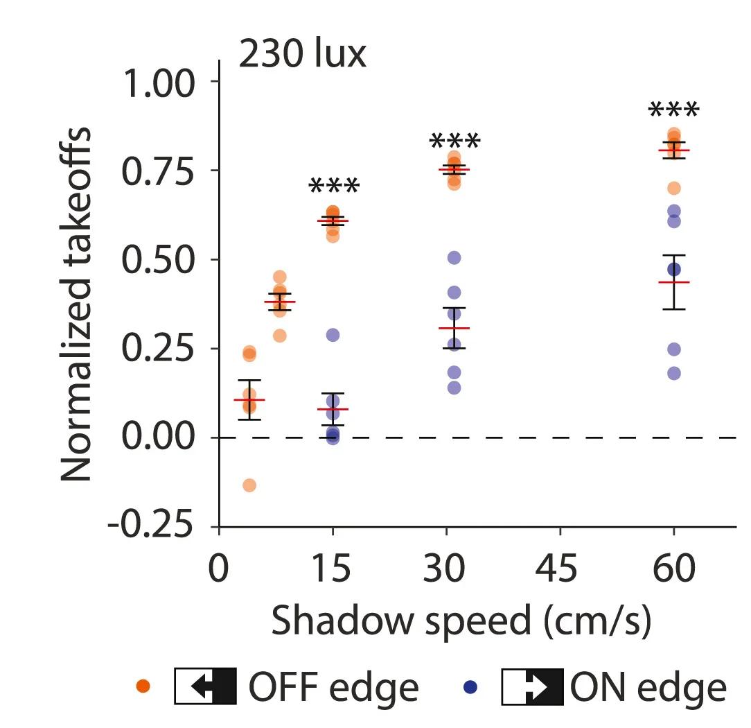 Open access visualization of Scatter Plot, Error Bars, Shadow Speed, Shadow Polarity, Takeoffs