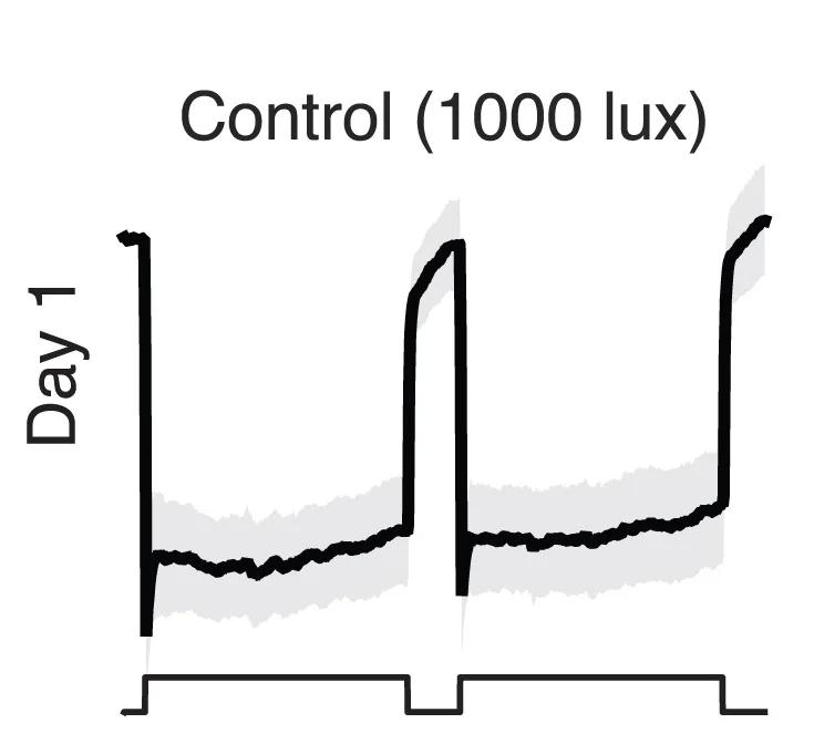 Open access visualization of Line Plot, Error Bars, Line Step, ERGs, Light Intensities