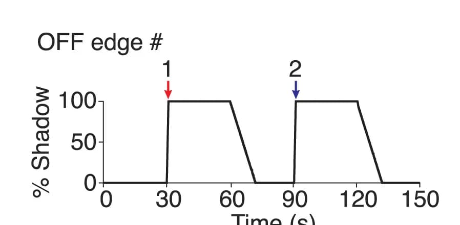 Open access visualization of Line Plot, Line Step, Shadow Movement, Dark Time, OFF-edge Shadows