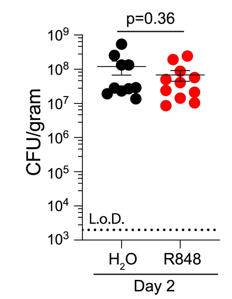 Open access visualization of Scatter Plot, Error Bars, C. difficile, Cecal Contents, Bacterial Burden