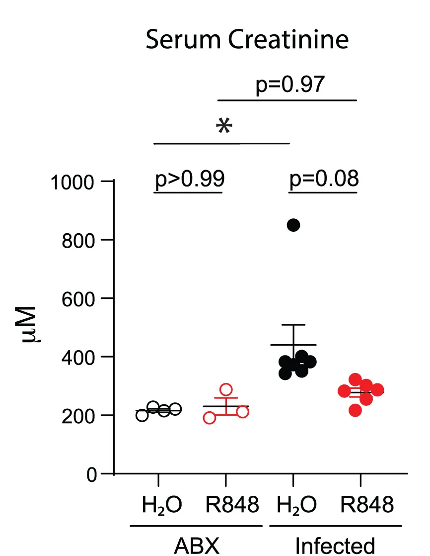 Open access visualization of Scatter Plot, Error Bars, Creatinine, Serum, Mice
