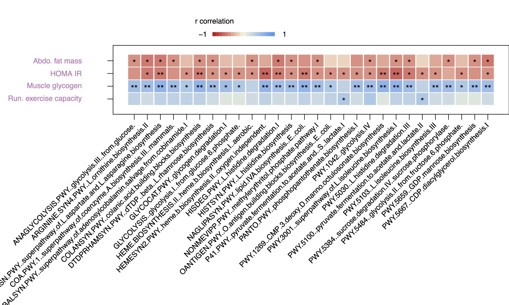 Open access visualization of Heatmap, Correlations, Gut Microbiota, Metabolic Traits, Endurance Capacity