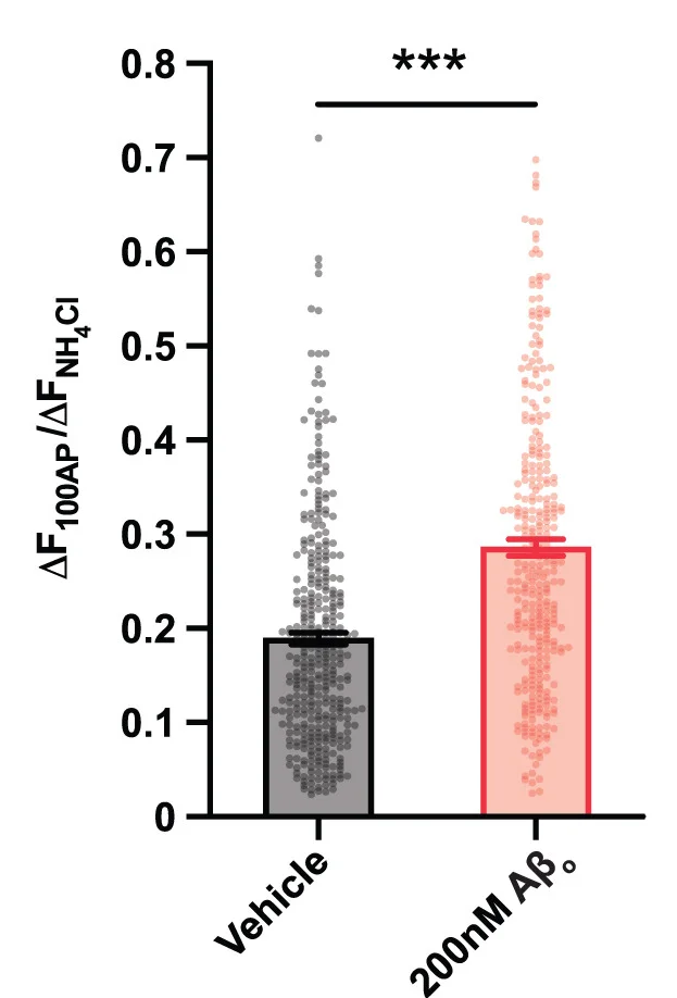 Open access visualization of Bar Plot, Error Bars, Scatter Plot, Peak Amplitudes, Synapses