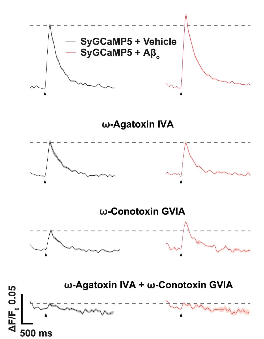 Open access visualization of Line Plot, Error Bars, Fluorescence Traces, SyGCaMP5, Boutons
