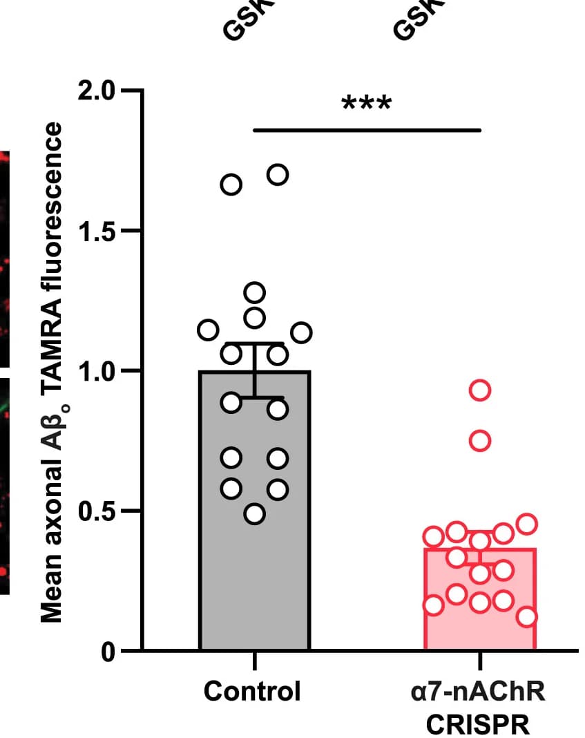 Open access visualization of Bar Plot, Error Bars, Scatter Plot, Axonal Fluorescence Intensity, alpha 7 nAChR