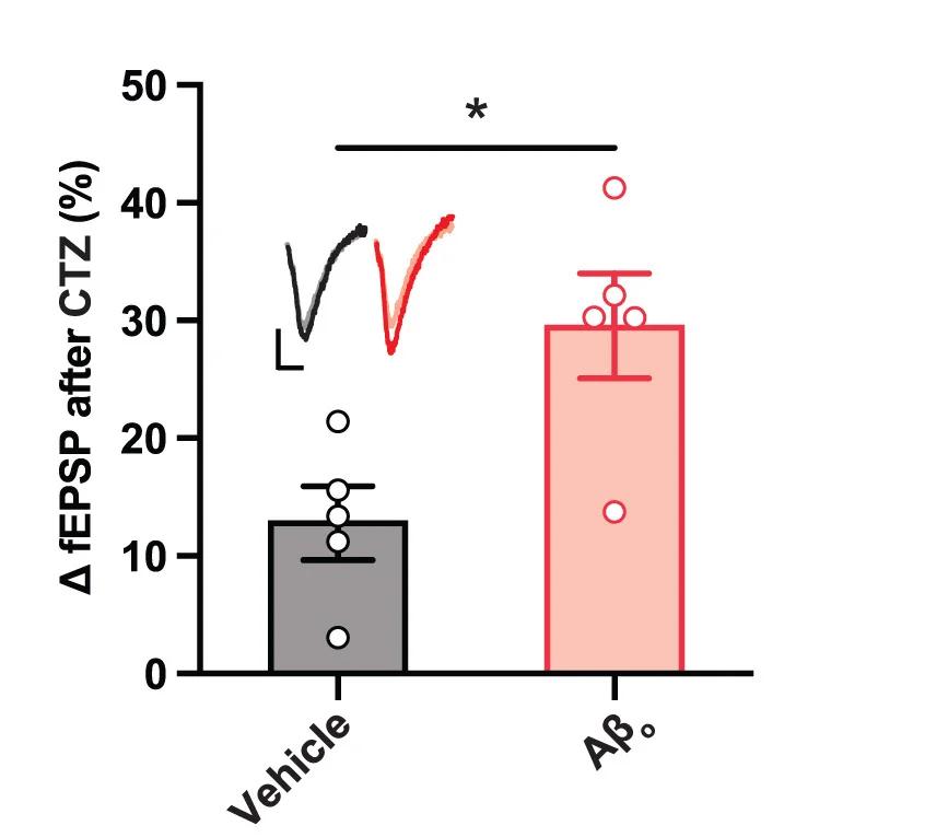 Open access visualization of Bar Plot, Error Bars, Hippocampal Slices, Synaptic Transmission, Cyclothiazide