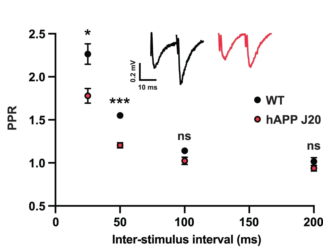 Open access visualization of Scatter Plot, Line Plot, Error Bars, Paired-Pulse Ratio, CA3-CA1 Synapses