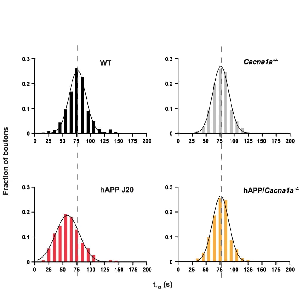 Open access visualization of Histogram, Density Plot, Frequency Distribution, Histograms, Gaussian Distribution