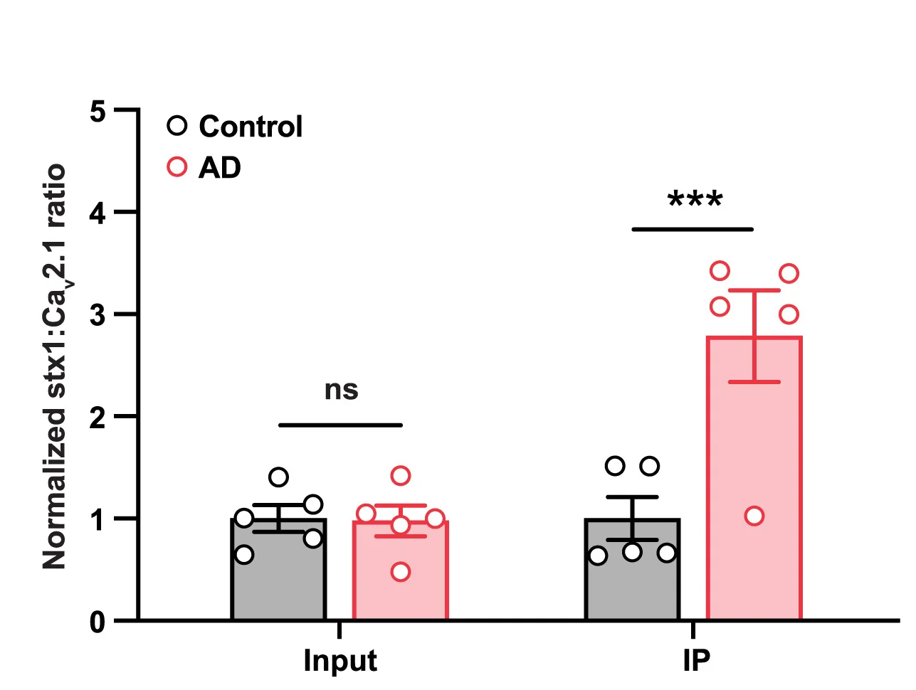 Open access visualization of Bar Plot, Error Bars, Clustered, Scatter Plot, Immunoblot