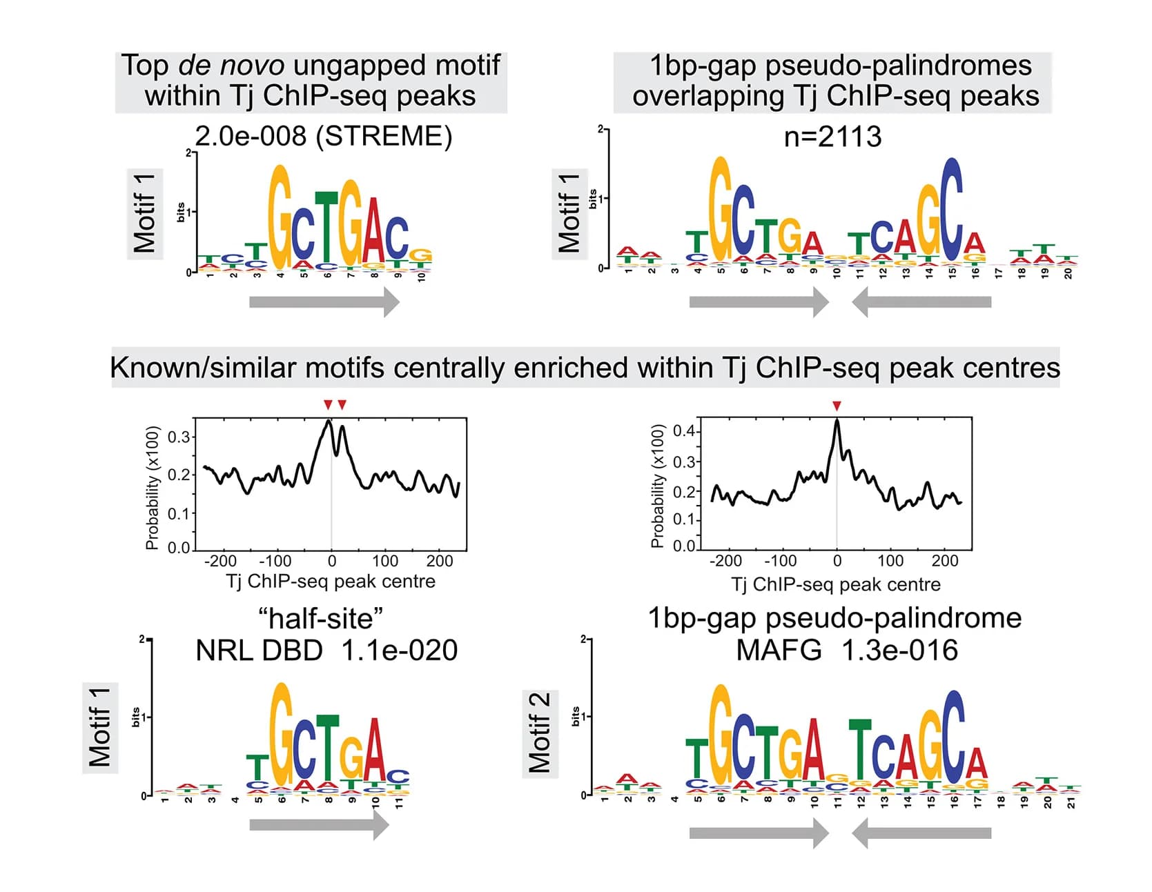 Open access visualization of Line Plot, De Novo Motif, Tj ChIP-seq Peaks, STREME, MEME-ChIP