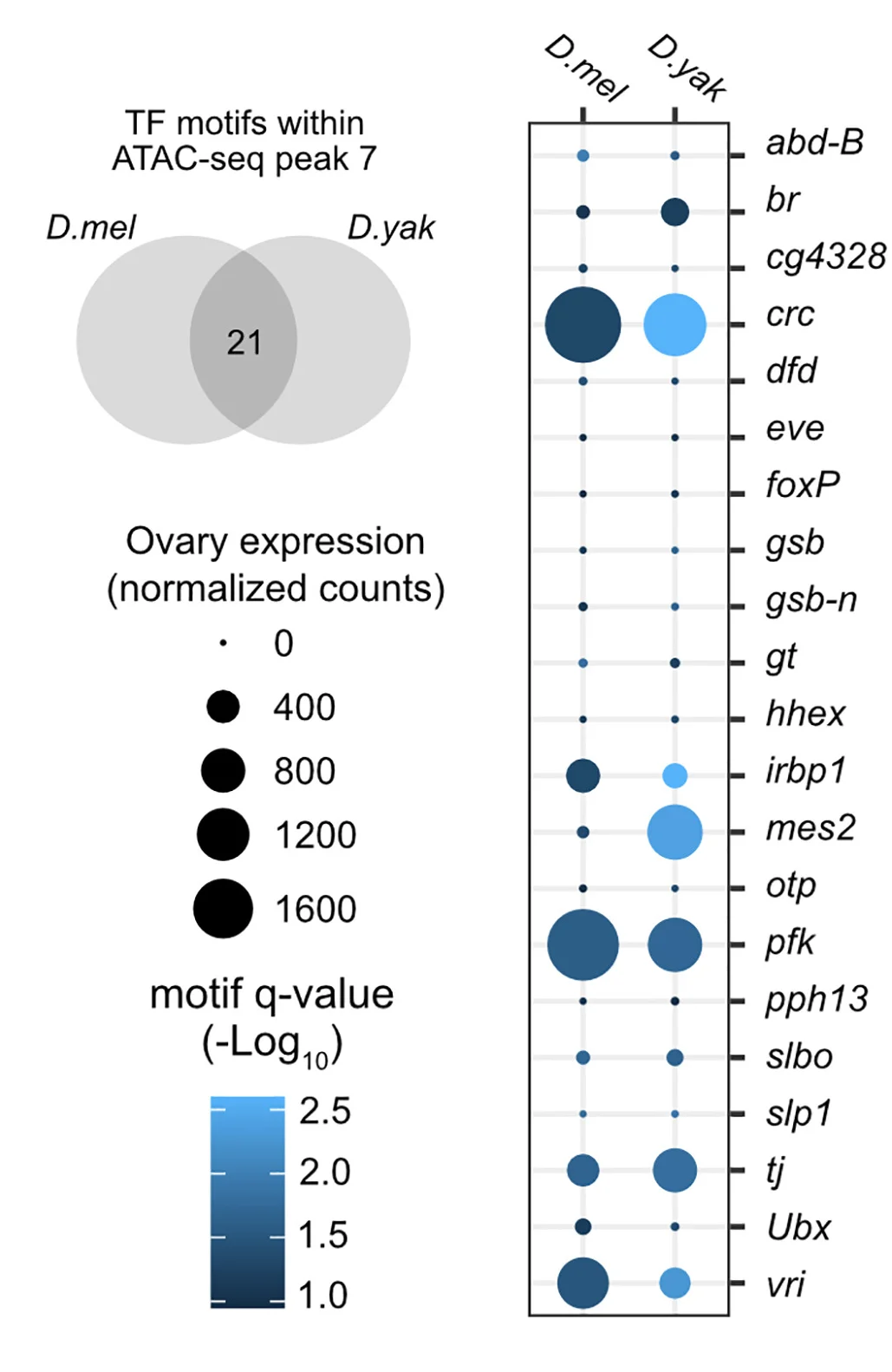 Open access visualization of Venn Diagram, Bubble Plot, Transcription Factors, ATAC-seq Peak, D. melanogaster