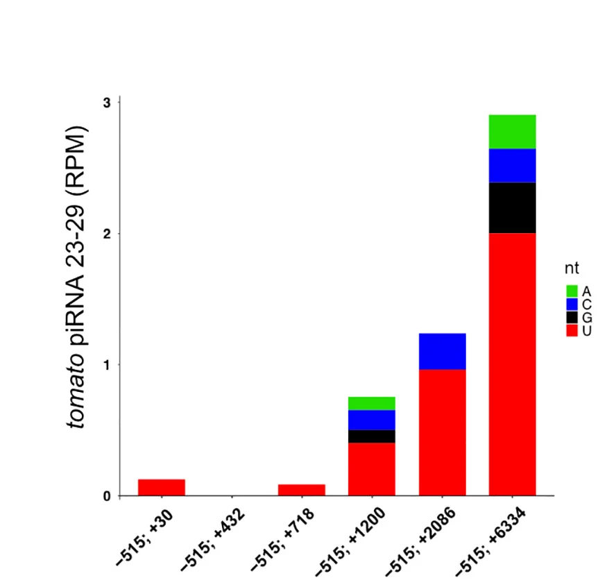 Open access visualization of Stacked Bar Plot, piRNAs, Tomato Reporter Sequence, Reads Per Million, Nucleotide Biases