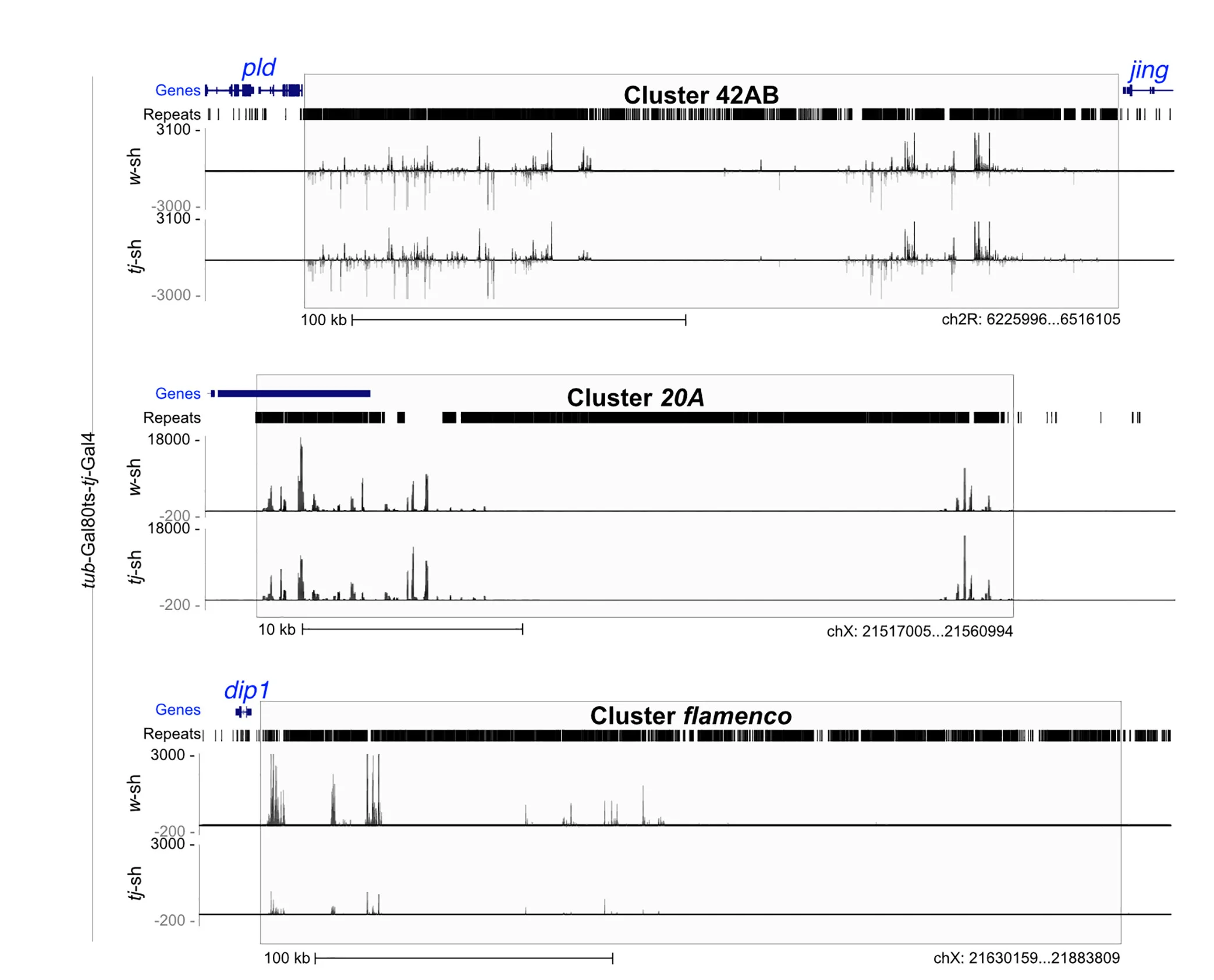Open access visualization of Line Plot, piRNAs, Ovaries, Genome Mapping