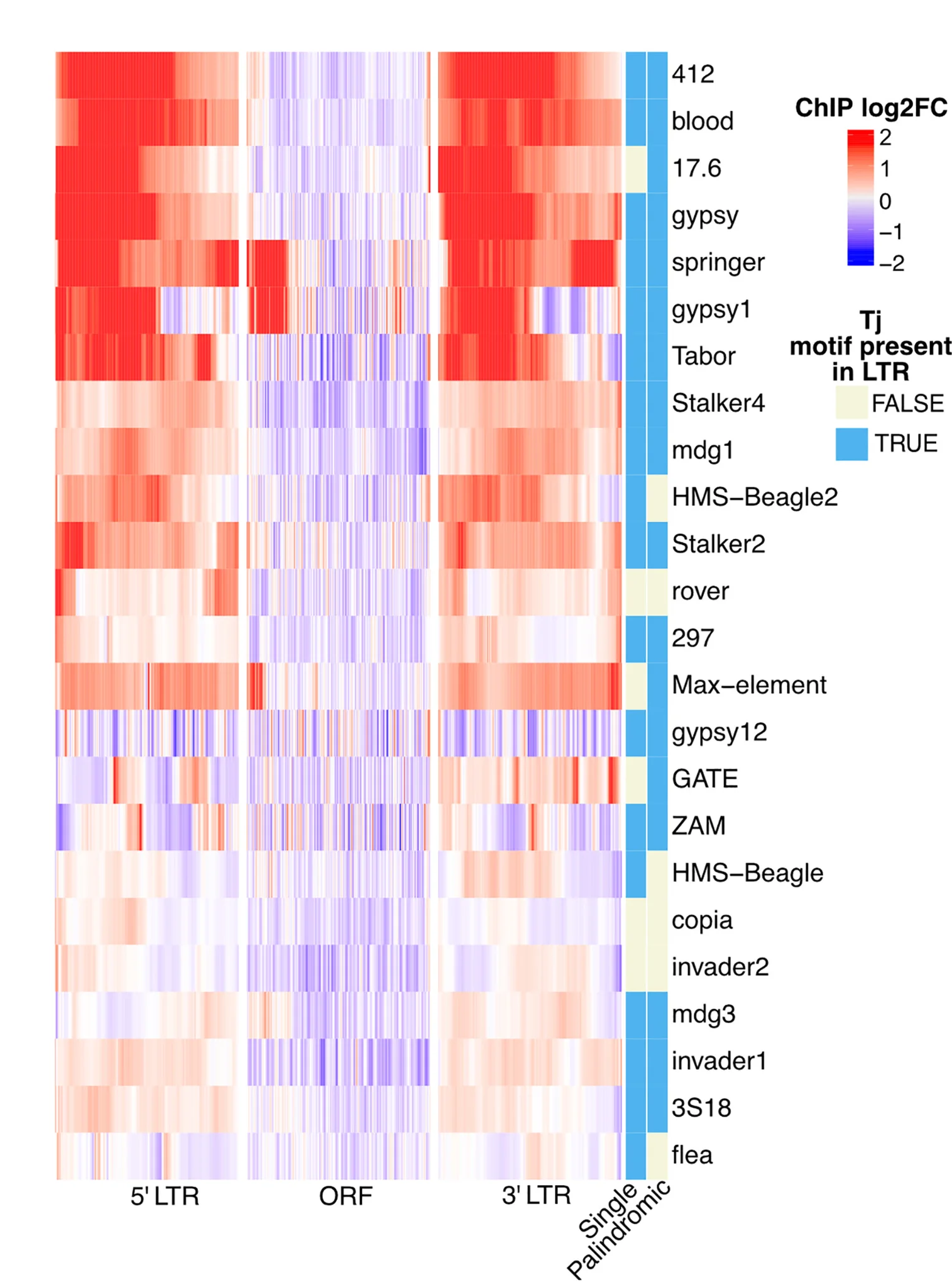 Open access visualization of Heatmap, Bar Plot, ChIP-seq Signal, TEs, Fly Ovaries